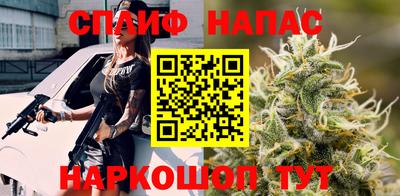 сатива Кимры