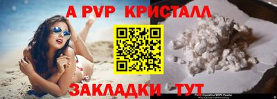 ALPHA PVP Кингисепп