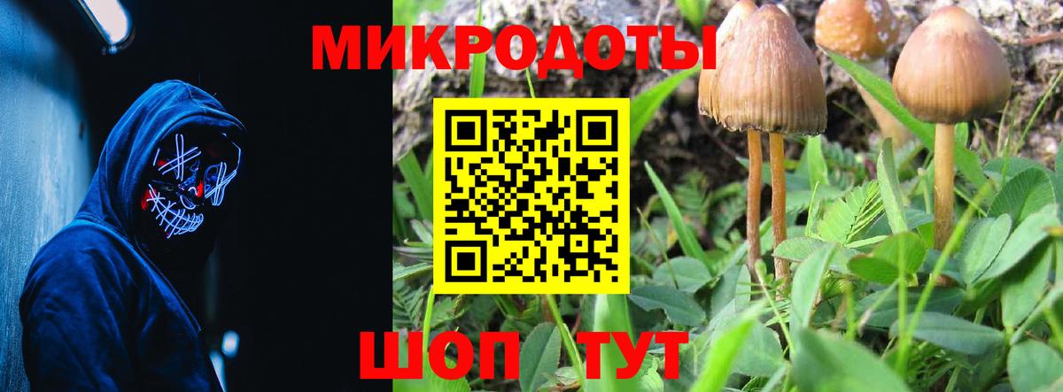 Галлюциногенные грибы мухоморы Дербент